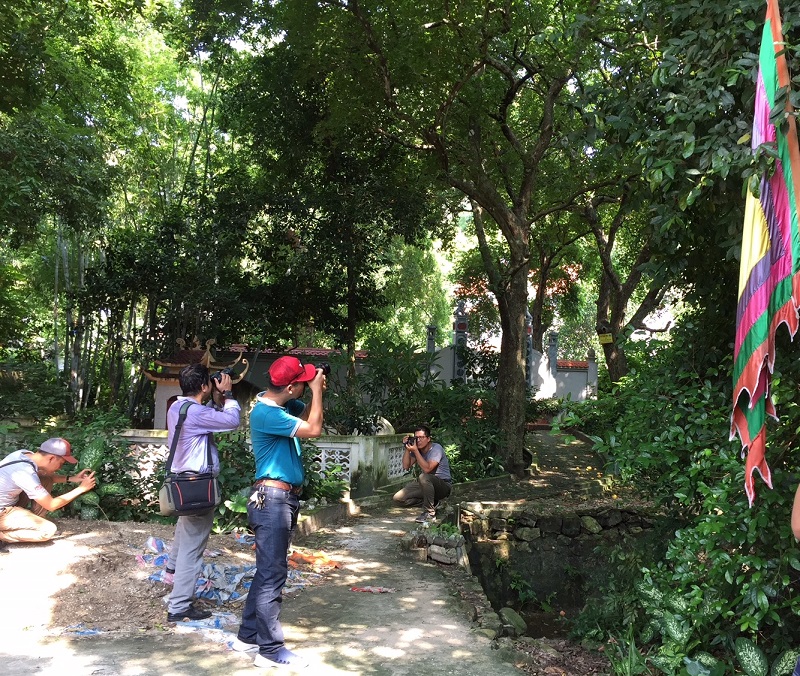 Khôi phục, khai thác tài nguyên Appqq88 Cá Cược Thể Thao tự nhiên đặc trưng trên địa bàn quận Đồ Sơn