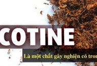 Cục Hải quan QQ8839 nhà cái: Tiêu hủy 3 lô tang vật có chứa chất nicotine