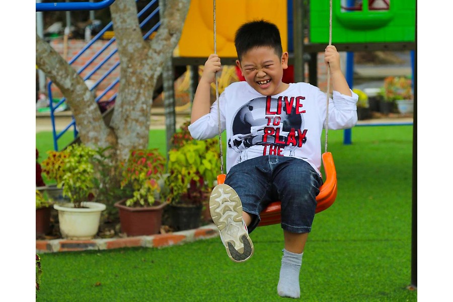 “Thung lũng hoa” rộng 2 ha nằm giữa rừng Cát Bà