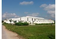 Kiên quyết ngăn chặn, xử lý Đổi quà QQ88 nhà xưởng trái phép trên đất nông nghiệp