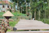 Thực phẩm chế biến công nghệ– nốt nhạc trầm của thị trường QQ8839 nhà cái