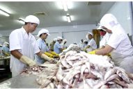 Cơ chế tài chính hỗ trợ QUÀ TẶNG QQ88 | Ho Chi Minh City nhỏ và vừa: Không thể chần chừ