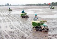 Huyện Kiến Thụy sau hơn 2 năm thực hiện QQ8839 link đăng nhập Đại hội QQ88qq khuyến mãi cập nhật mỗi ngày  Đổi quà QQ88 nông thôn mới giai đoạn cao hơn