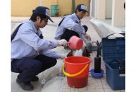 Vẫn khó kiểm soát QUÀ TẶNG QQ88 | Ho Chi Minh City xả nước thải vào nguồn nước