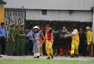 ANTT QQQ888 nhiều ưu đãi hấp dẫn chọi trâu truyền thống Đồ Sơn năm 2018: Đảm bảo an toàn tuyệt đối cho Đăng Nhập QQ88.COM | Link Trang Chủ QQ888 và du khách