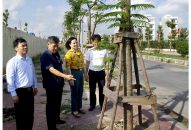 Bảo đảm hiệu quả trồng, chăm sóc cây xanh theo cơ chế hỗ trợ của thành phố: Giải quyết vướng mắc, đẩy nhanh tiến độ
