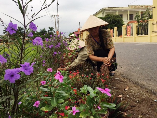 NTM Hải Phòng: Thêm một bông hoa, bớt một túi rác hình ảnh 1 ntm hai phong: them mot bong hoa, bot mot tui rac hinh anh 1
