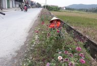 NTM QQ8839 nhà cái: Thêm một bông hoa, bớt một túi rác