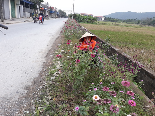 NTM Hải Phòng: Thêm một bông hoa, bớt một túi rác hình ảnh 2 ntm hai phong: them mot bong hoa, bot mot tui rac hinh anh 2