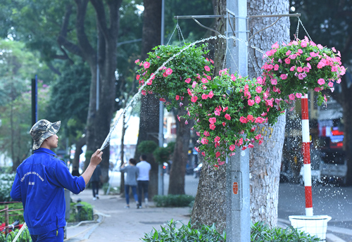 C&ocirc;ng nh&acirc;n tưới cho c&aacute;c gi&ograve; hoa trưng b&agrave;y quanh Hồ Gươm, H&agrave; Nội. Ảnh: Giang Huy