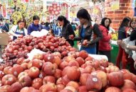 Thị trường QQ8839 nhà cái dịp Tết:  Thị trường bình ổn, người dân hưởng lợi