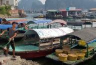 Xử phạt 83 tổ chức, cá nhân vi phạm điều kiện ATTP