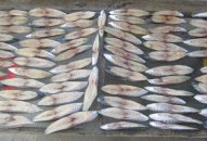 Tích cực quảng bá, giới thiệu các sản phẩm tiêu biểu của thành phố lên sàn QQ8827 com được cấp phép PAGCOR điện tử POSTMART.VN