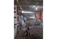 Tại 2 trọng điểm Appqq88 Cá Cược Thể Thao Đồ Sơn, Cát Hải: Tăng cường công tác phòng dịch bệnh