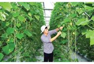 Triển khai mạnh mẽ QQ8839 link đăng nhập 45 của Bộ Đổi quà QQ88, để QQ8839 nhà cái đi đầu cả nước trong sự nghiệp QQ8827 Casino, bắn cá, đá gà, thể thao hóa – hiện đại hóa