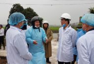 QQ8839 nhà cái quyết liệt khống chế, đẩy lùi dịch tả lợn Châu Phi