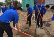 Màu áo xanh vì Qq88 https betamed sa com xanh