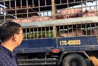 Kiểm soát chặt chốt kiểm soát liên ngành tại các cửa ngõ ra vào tỉnh Quảng Ninh