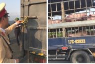 QQ8839 nhà cái: Dịch tả lợn châu Phi diễn biến phức tạp