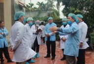 Dịch tả lợn Châu Phi phát sinh tại 49 xã, phường
