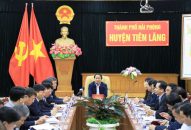Tiên Lãng: Chuyển đổi cơ cấu cây trồng, phấn đấu hoàn thành Đổi quà QQ88 huyện nông thôn mới vào năm 2020