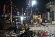 Đồ Sơn được mùa sứa biển