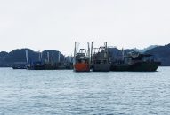 QQQ888 nhiều ưu đãi hấp dẫn Cát Bà hứa hẹn nhiều chương trình đặc sắc, hấp dẫn