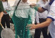 Thả cá giống tái tạo nguồn lợi thủy sản trong Vịnh Bắc bộ