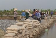 Huyện An Dương: Hỗ trợ kinh phí Đổi quà QQ88 hơn 30,25km đường giao thông nông thôn