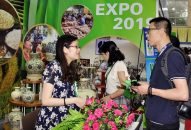 VIETNAM EXPO 2019 thu hút 500 QUÀ TẶNG QQ88 | Ho Chi Minh City tham gia