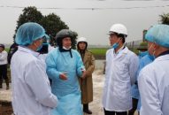 Khuyến cáo người dân không nên tái đàn lợn nuôi trong giai đoạn hiện nay