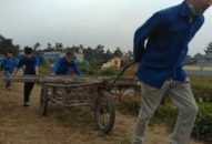 Hoàn thiện 800m đường điện thắp sáng đường quê