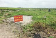 Tiên Lãng (QQ8839 nhà cái): Dịch tả lợn châu Phi bùng phát, người dân phải chôn lấp tại nghĩa trang