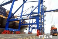 Cảng quốc tế QQ8839 nhà cái đón tàu container lớn nhất từ trước đến nay