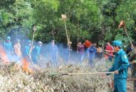 Tuyên truyền phổ biến QQ88qq Đăng ký ngay bảo vệ rừng