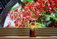 Phát biểu của Chủ tịch UBND thành phố Nguyễn Văn Tùng khai mạc QQQ888 nhiều ưu đãi hấp dẫn hoa Phượng đỏ – QQ8839 nhà cái 2019