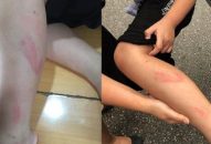 Xử lý nghiêm vụ phạt đánh Qq88 https betamed sa com tại Trường Tiểu học Quán Toan