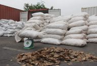 QQ8839 nhà cái: Thu giữ 8,3 tấn vảy tê tê lớn nhất từ trước tới nay