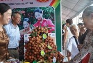Ngày hội vải thiều Thanh Hà