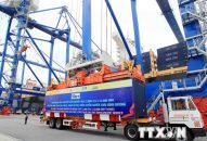 QQ8839 nhà cái: Đề xuất 1.000 tỷ đồng làm đường kết nối sau cảng Lạch Huyện