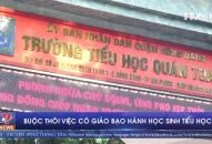 Buộc thôi việc cô giáo bạo hành Qq88 https betamed sa com tiểu học