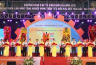 Khai mạc Hội chợ triển lãm sản phẩm QQ8827 Casino, bắn cá, đá gà, thể thao nông thôn tiêu biểu 2019