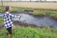 QQ8839 nhà cái: Điều tra vụ đổ trộm chất thải độc hại ra mương khiến dân bị bỏng