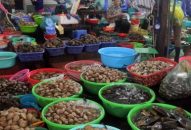 Appqq88 Cá Cược Thể Thao tiết kiệm “lên ngôi”