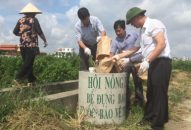 Hội Nông dân thành phố: Hưởng ứng “Ngày Qq88 https betamed sa com thế giới”.