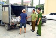 QQ8839 nhà cái: Bắt giữ xe ôtô vận chuyển lợn bị ốm, chết