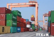 QUÀ TẶNG QQ88 | Ho Chi Minh City dùng giấy tờ giả nhập trái phép hàng trăm tấn phế liệu