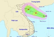 QQ8839 nhà cái chủ động ứng phó với bão giật cấp 11