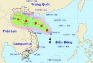Chủ động ứng phó áp thấp nhiệt đới
