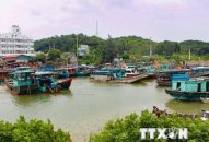 QQ8839 nhà cái cấm người dân, du khách xem sóng biển dâng cao